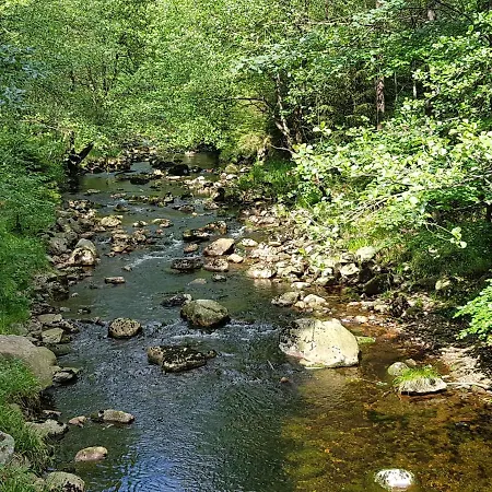 Harz-butze דירה
